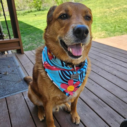 Retro Wave Rider Pet Bandana